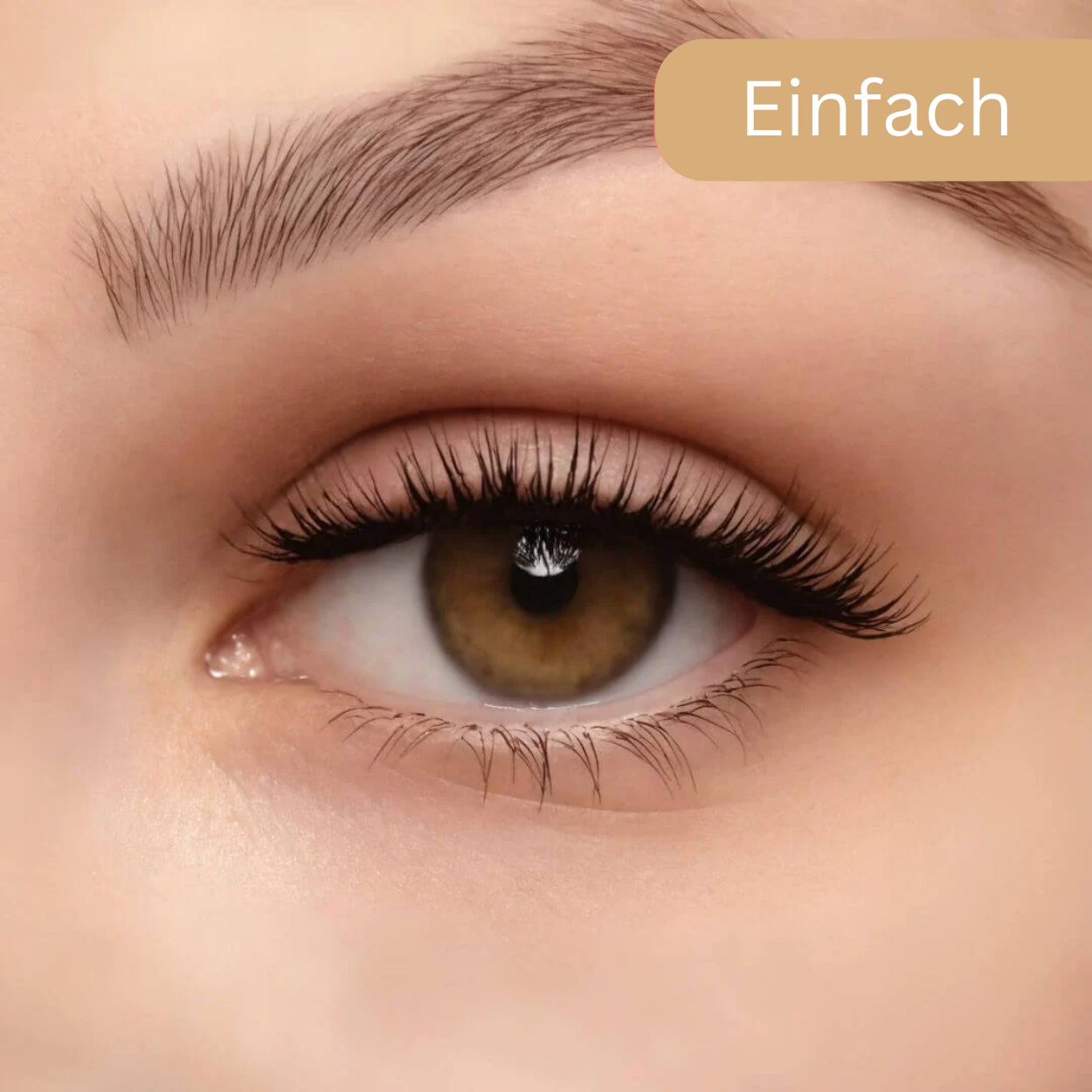 Magnetische Wimpern -  Kein Kleberchaos mehr!