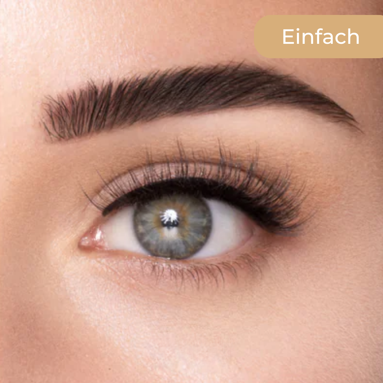 Magnetischen Liner-Wimpern - Kein Kleberchaos mehr