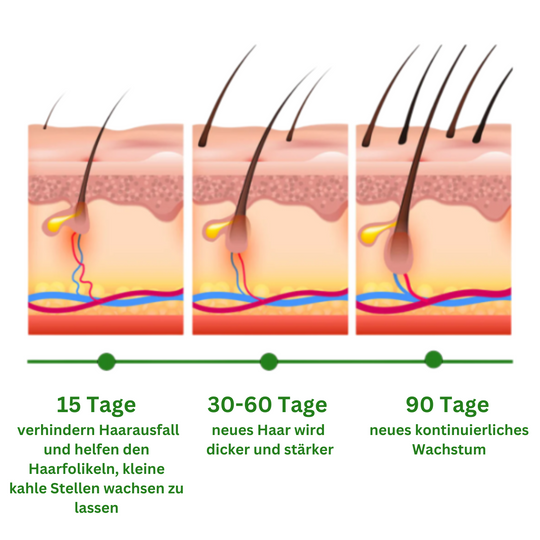 Rosmarinöl für Haarwachstum – Natürlich kräftigeres & dichteres Haar