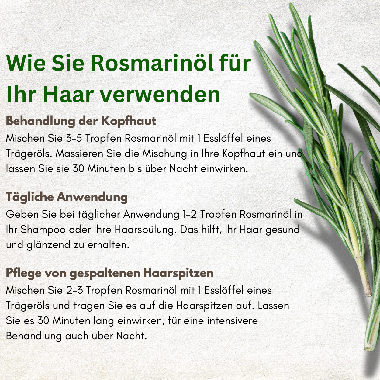 Rosmarinöl - Haarwachstum