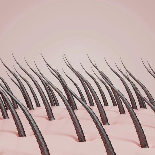 Rosmarinöl für Haarwachstum – Natürlich kräftigeres & dichteres Haar